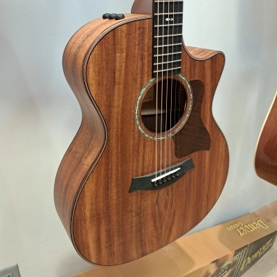 Taylor Guitars - 724CE 2